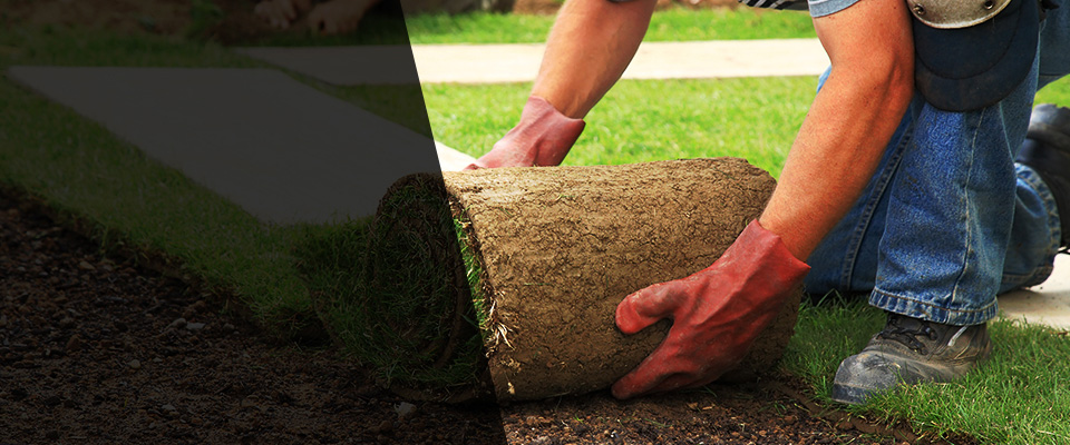 Rineyville Landscapers